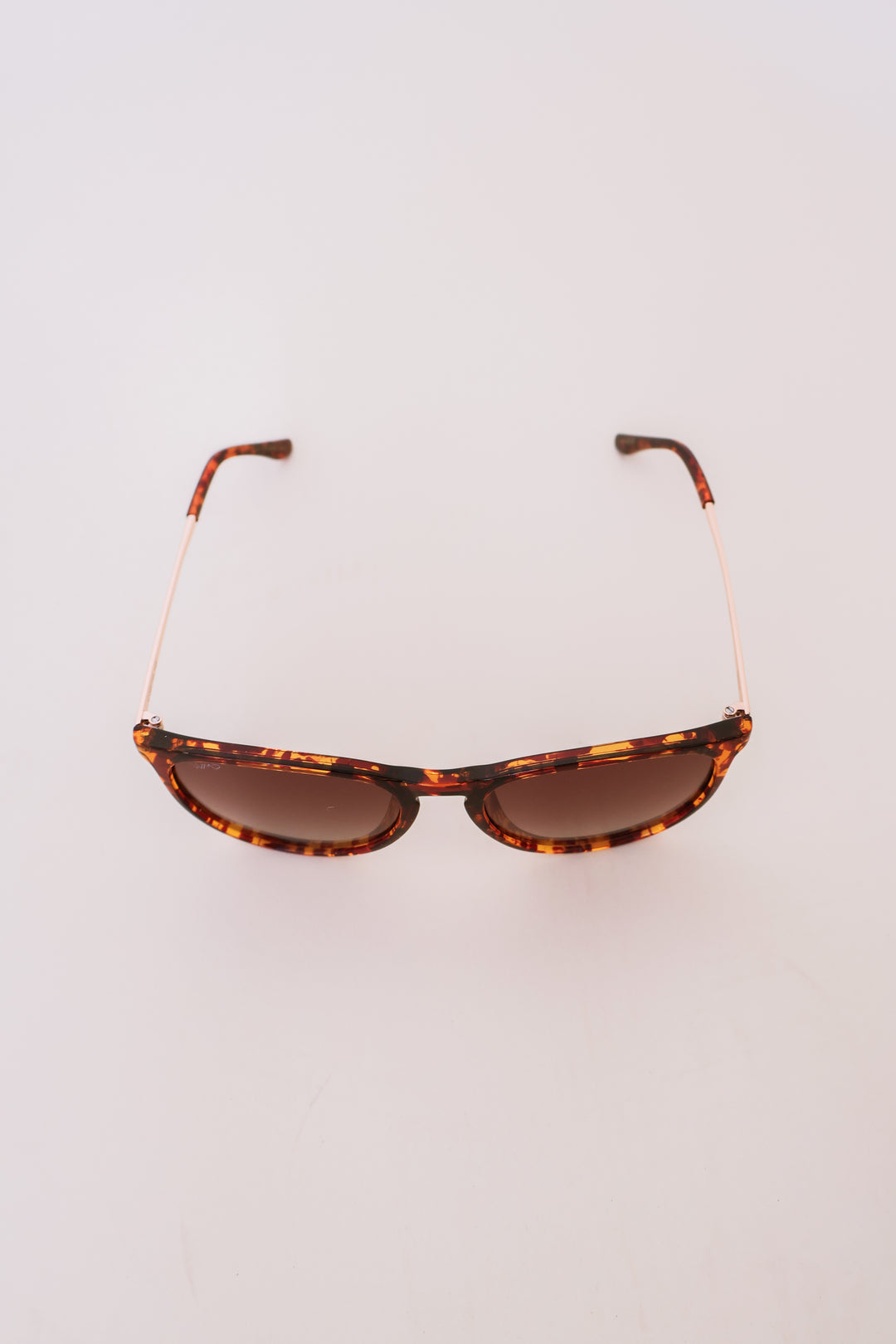 Drew - Women's Polarized Round Sunglasses - Tortoise/Brown