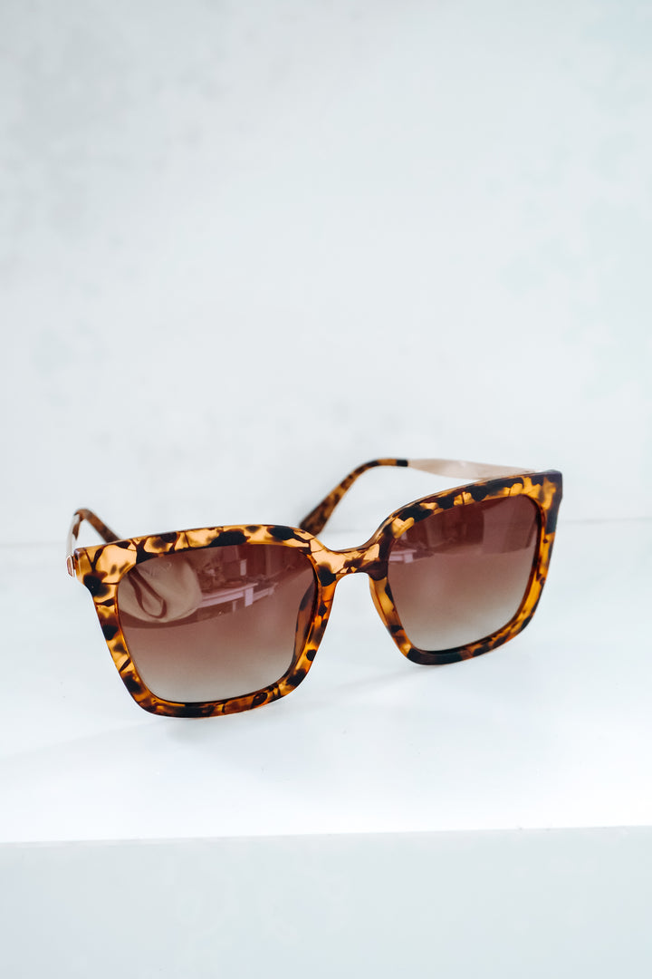 Madison Polarized Sunglasses - Soft Tortoise