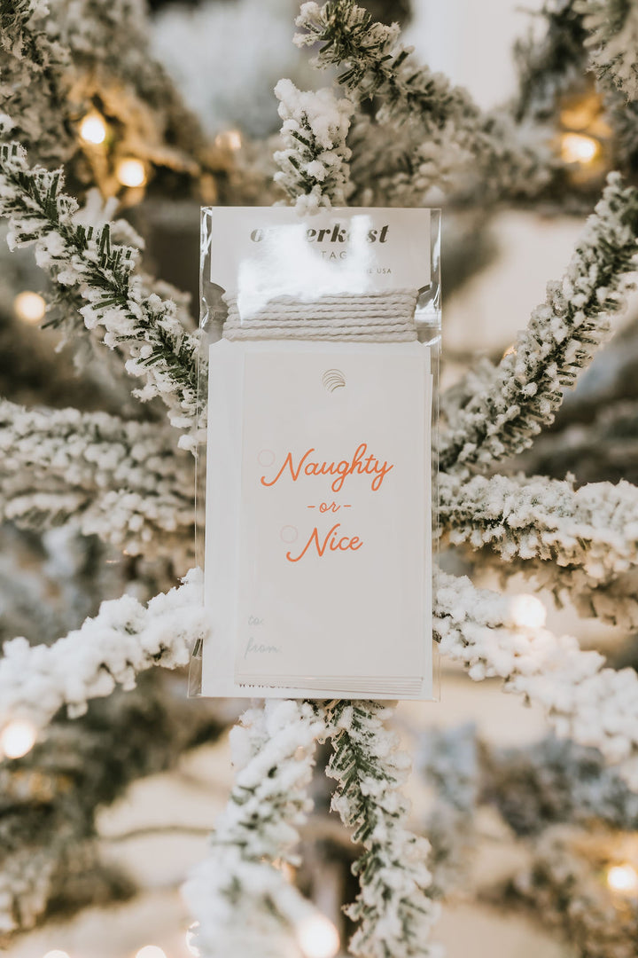 Naughty or Nice Gift Tag