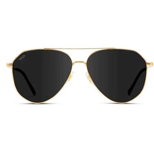 Ramsey Polarized Sunglasses - Gold/Black