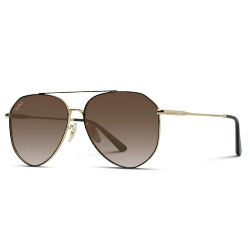 Ramsey Polarized Sunglasses - Gold/Brown