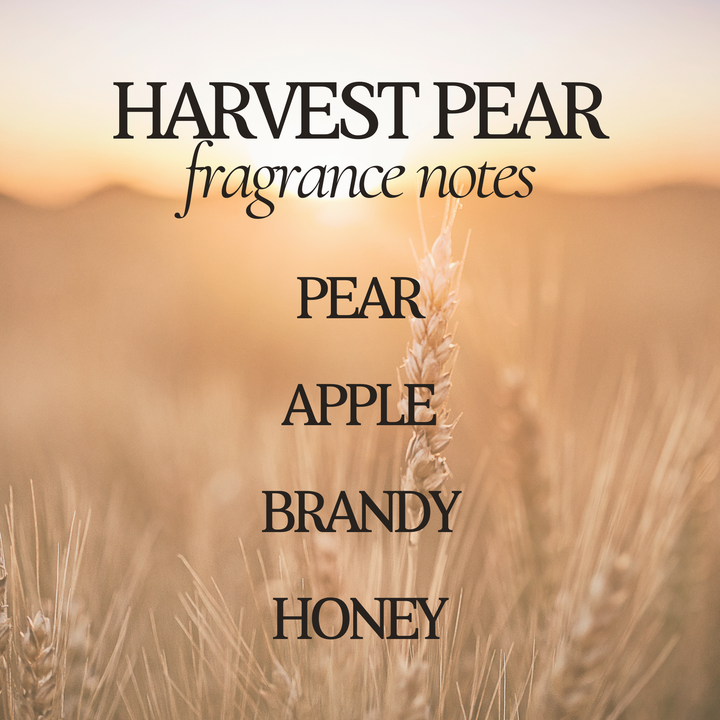 Harvest Pear 12 oz Soy Candle - Fall Home Decor & Gifts